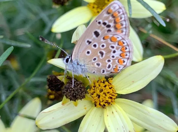 Гостевой дом Il Mulino Di Valeria Canzo