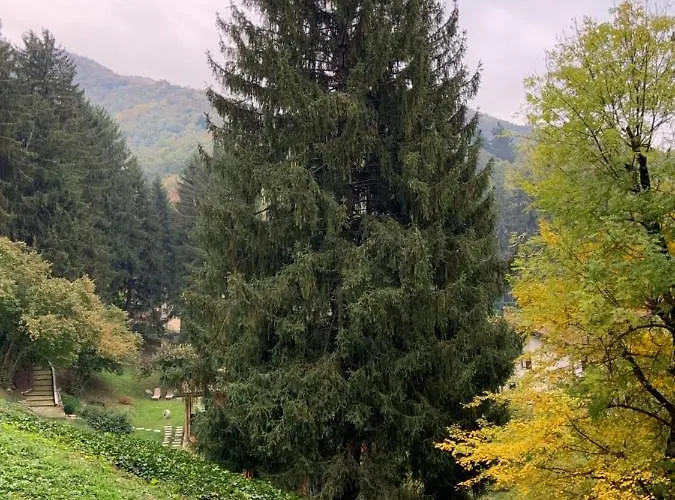 Il Mulino Di Valeria